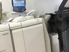 雷焰圖文設計制作 深耕上海，鑄就專業視覺與印刷服務典范